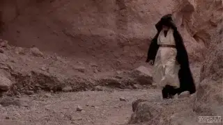 Award Winning Director Axel Braun Films The Most Ambitious Porn Movie Ever Made! Will Leia Succumb To The Dark Side Of The Force? Will Han Shoot First? Will Chewy Get Lucky?