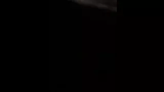 Beautiful girl passionately sucks cock